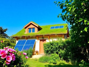 Locuință ecologică înconjurată de verdeață luxuriantă.